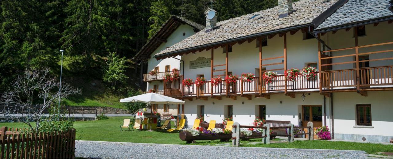 Dresalwoald Bed & Breakfast Gressoney-Saint-Jean Luaran gambar